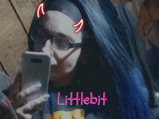 Littlebit
