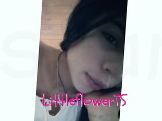 LittleflowerTS