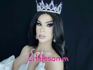 Littlesamm