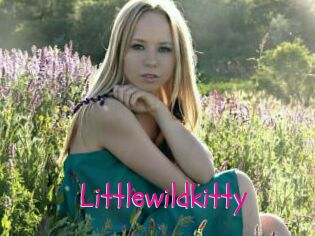 littlewildkitty Spanking Sarah