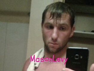 Mason_Levy