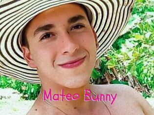 Mateo_Bunny