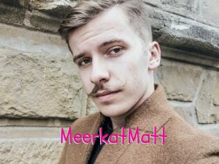 MeerkatMatt