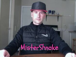 MisterShnake