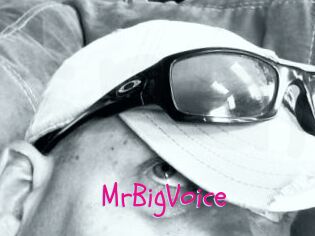 MrBigVoice