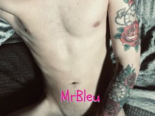 MrBleu