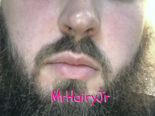 MrHairyJr