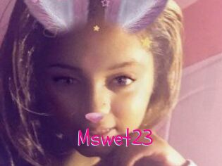 Mswet23