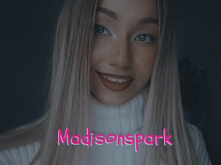 Madisonspark