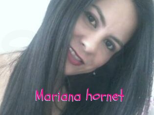 Mariana_hornet
