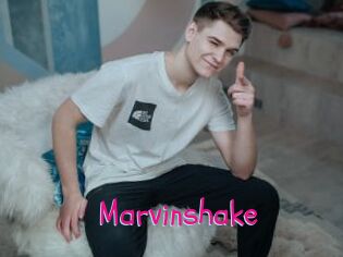 Marvinshake