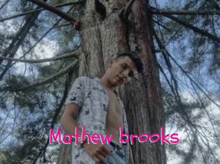 Mathew_brooks