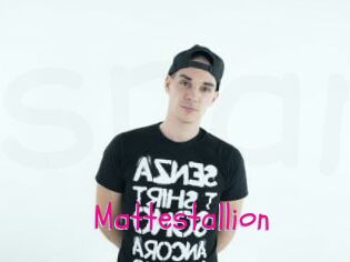 Mattestallion