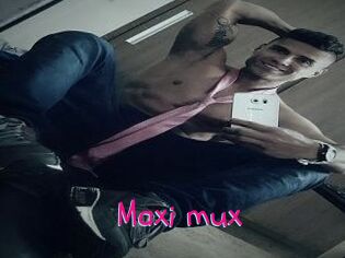 Maxi_mux