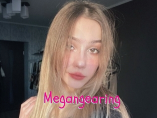 Megangearing