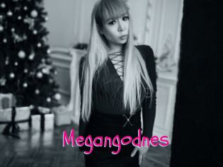 Megangodnes