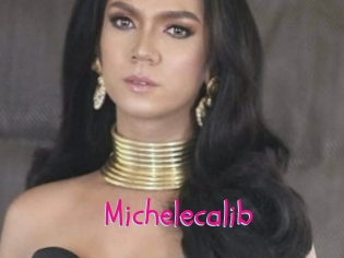 Michelecalib