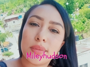 Mileyhudson