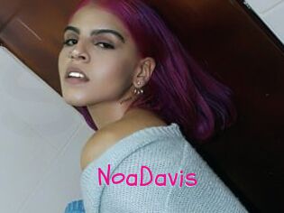 NoaDavis