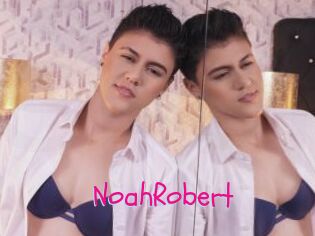 NoahRobert