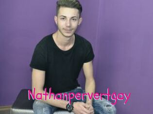 Nathanpervertgay