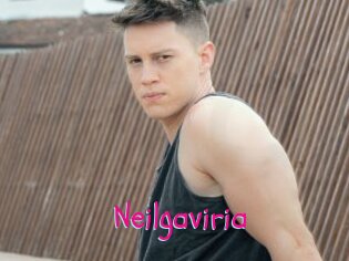 Neilgaviria