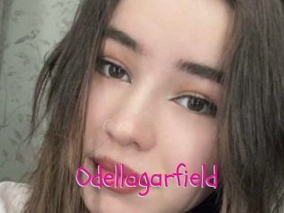 Odellagarfield
