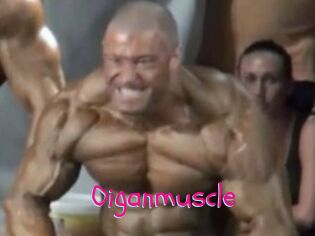 Oigan_muscle