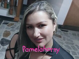 Pamelahorny