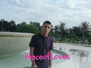 PeaceofLoves