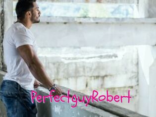 PerfectguyRobert