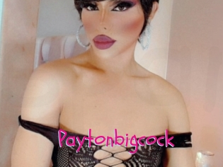 Paytonbigcock