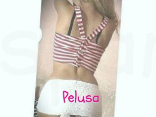 Pelusa
