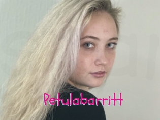 Petulabarritt