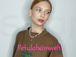 Petulaheimweh