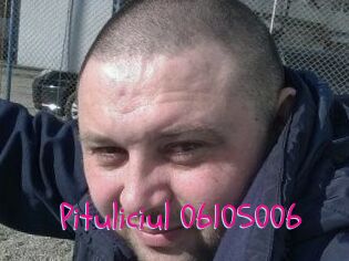 Pituliciul-06105006