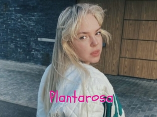Plantarosa