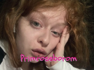 Primroseborom