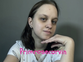 Primrosecarvin