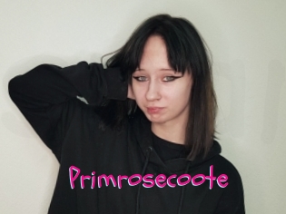 Primrosecoote