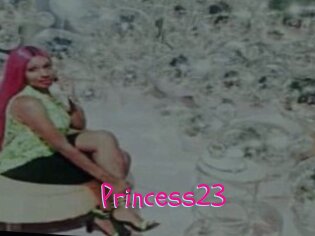 Princess23