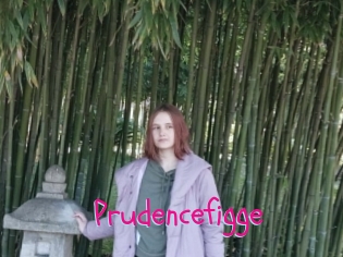 Prudencefigge