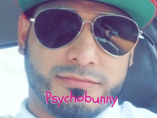 Psychobunny