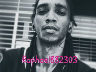 Raphael882303