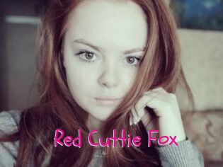 Red_Cuttie_Fox