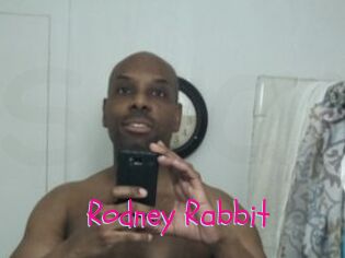 Rodney_Rabbit