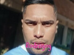 Rodriigog