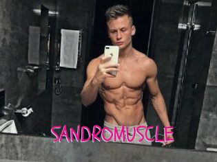 SANDRO_MUSCLE
