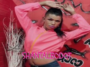 SHANTALBODOT