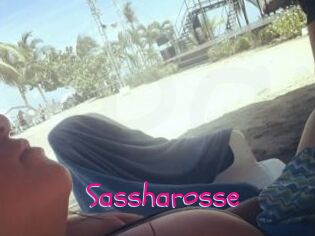 Sassharosse